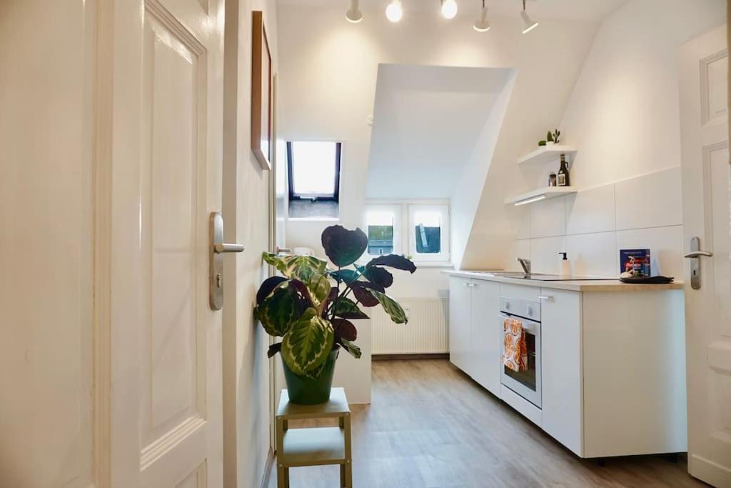Apartment Neu I Moderne Zentrale I Netflix I 4 Gaeste